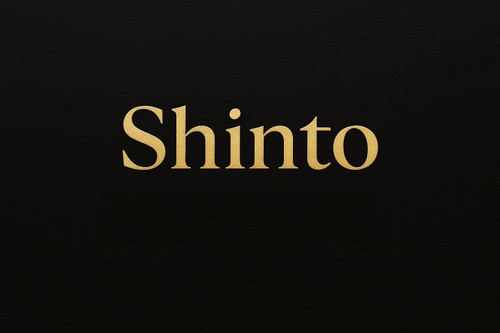 محصولات شینتو (Shinto) سیستم صوتی خودرو