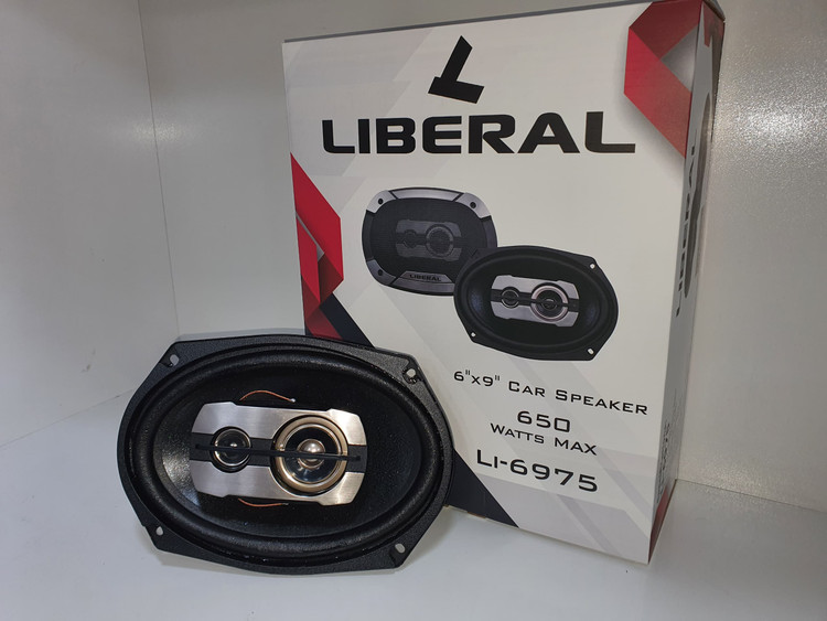 خرید آنلاین بلندگوی بیضی لیبرال Li-6975 با قیمت ارزان