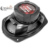 اسپیکر بیضی