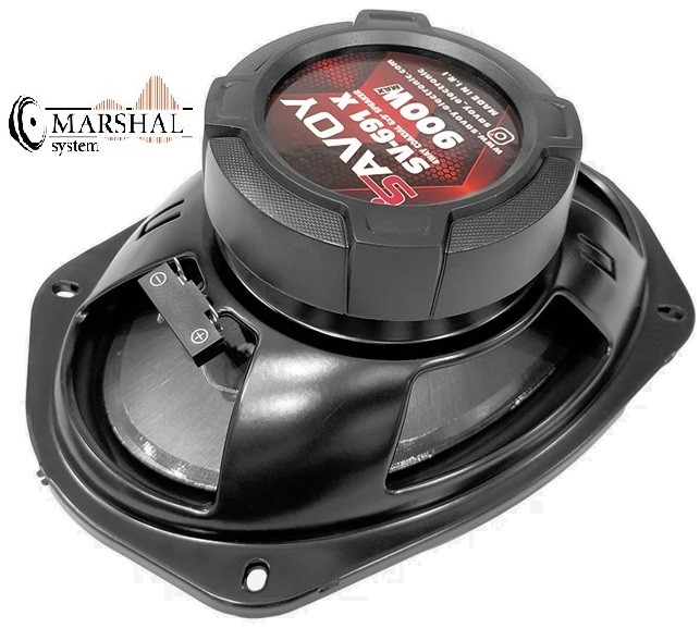 اسپیکر بیضی