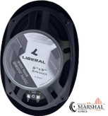 خرید و قیمت باند اسپیکر خودرو لیبرال Li-6995