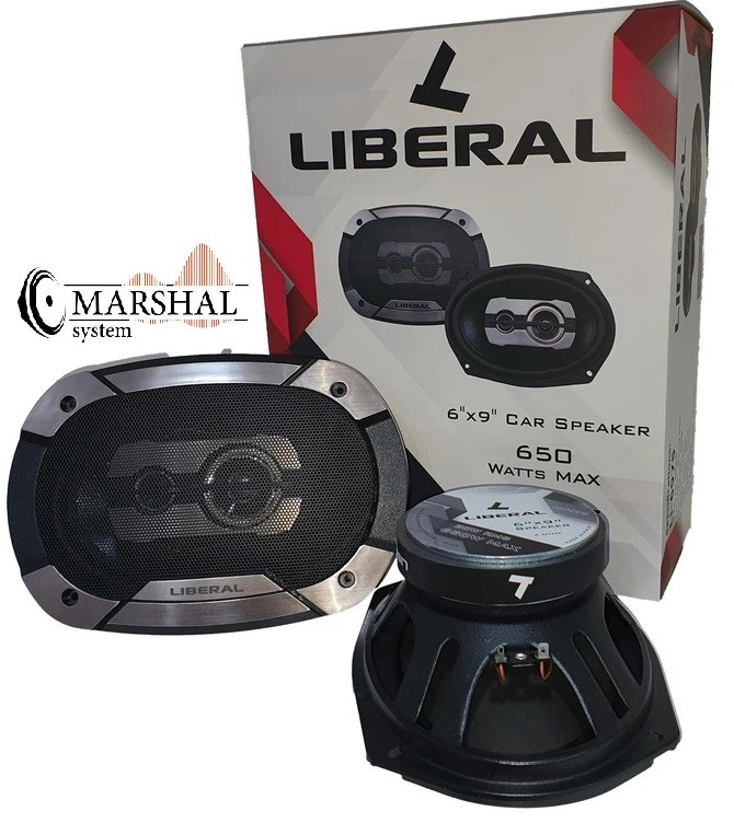 خرید بلندگوی بیضی خودرو لیبرال Li-6961 با قیمت عمده