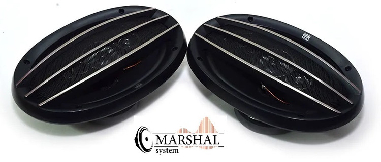 بلندگو بیضی خودرو