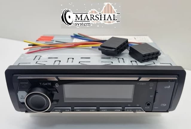 خرید و قیمت رادیوپخش تی گیت T-C3011