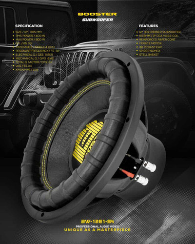 خرید ساب ووفر ۱۲ اینچ بوستر BW-12E1-S4 با قیمت مناسب بازار