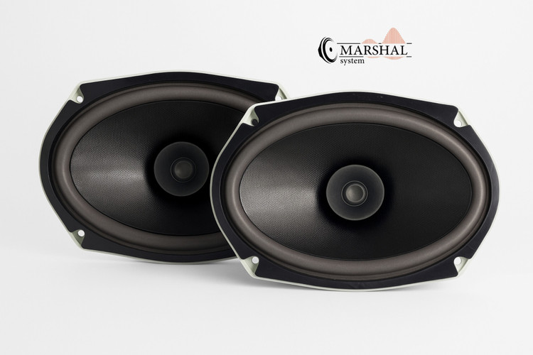 خرید و قیمت بلندگوی بیضی مستر مدل MR-6934 بسته ۲ عددی ارسال فوری