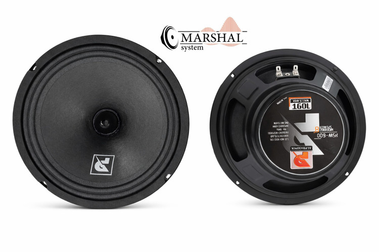 خرید و قیمت میدرنج 8 اینچ آلفاسونیک مدل PSW-800 بسته دو عددی