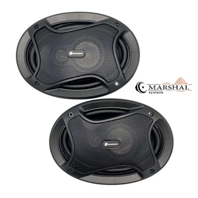 بلندگو بیضی ساندیا مدل SP-6910