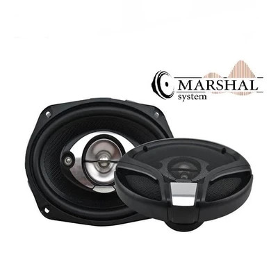 خرید و قیمت باند بیضی خودرو پاناتک مدل PCS--6925 بسته 2 عددی