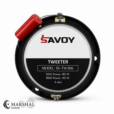 سوپر تیوتر ساووی مدل SV-TW306 بسته دو عددی