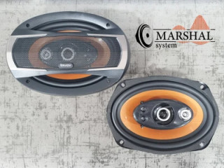 باند بیضی خودرو ساووی 900 واتی مدل SV-6930 بسته دو عددی