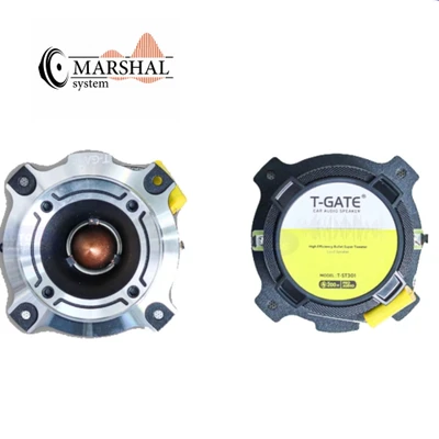 سوپر تیوتر تی گیت مدل TGATE T-ST301بسته دو عددی