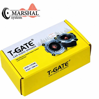 سوپر تیوتر تی گیت مدل TGATE T-ST301بسته دو عددی