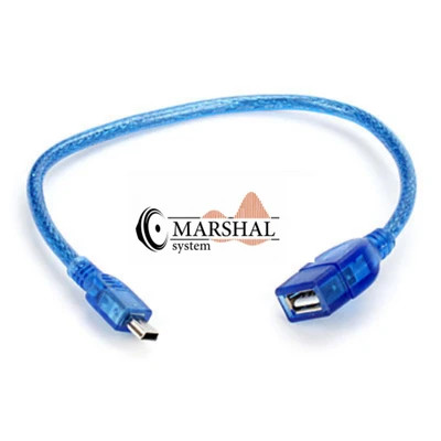 کابل ذوزنقه ای مادگی Usb به Mini usb دتکس